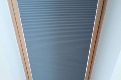 Plisy004
