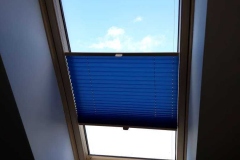 Plisy006